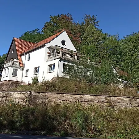 Zum Glücklichen Waschbär *