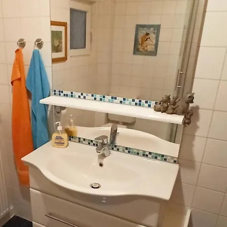 Zum Gluecklichen Waschbaer *